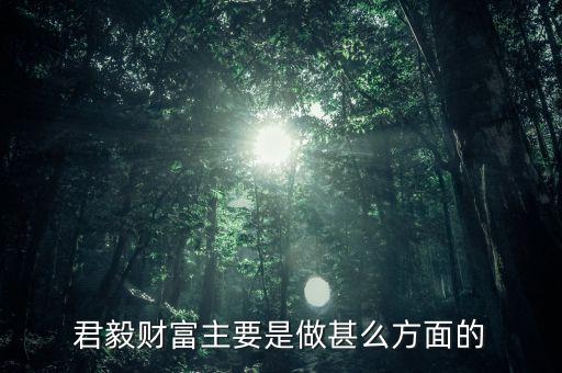 君毅財(cái)富主要是做甚么方面的