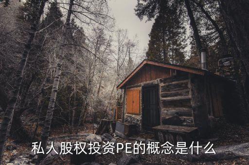 pe投資是什么，pe投資是什么意思