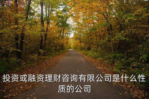 金融理財有限公司是什么性質(zhì)的，投資或融資理財咨詢有限公司是什么性質(zhì)的公司