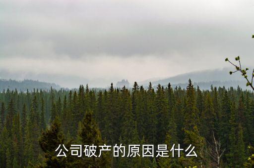 三英集團為什么破產(chǎn)，公司破產(chǎn)的原因是什么