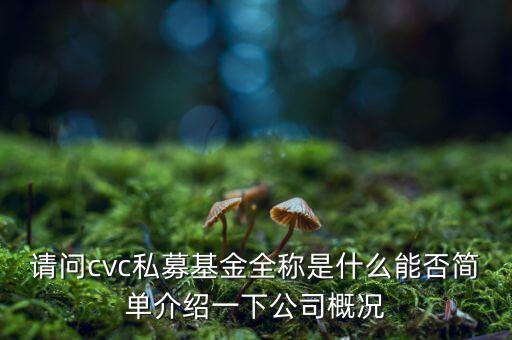 cvc集團(tuán)還有什么投資，著名私募基金有哪些分別是哪家公司發(fā)行的