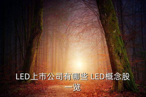 上市公司鴻什么視訊，視訊行業(yè)有哪些公司