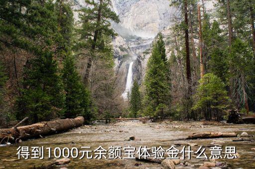 1000余額寶體驗金是什么，得到1000元余額寶體驗金什么意思