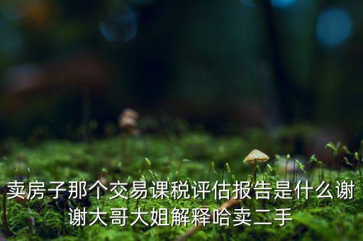 交易課稅是什么意思，名詞解釋證券交易稅