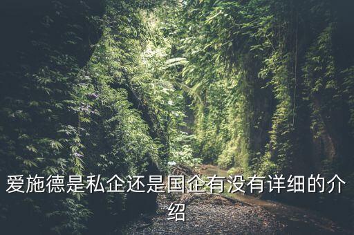 愛施德是私企還是國(guó)企有沒(méi)有詳細(xì)的介紹