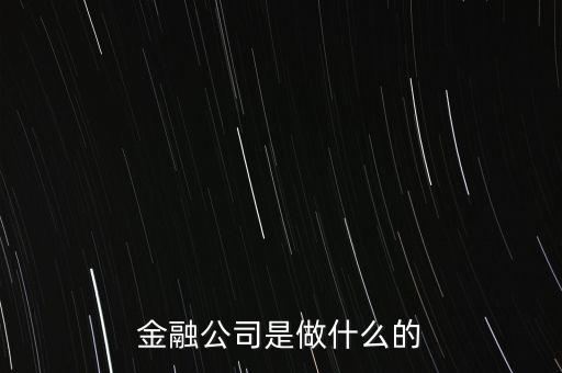 美國住宅金融公司是干什么的，房地美和房利美在美國算什么性質(zhì)的金融機(jī)構(gòu)