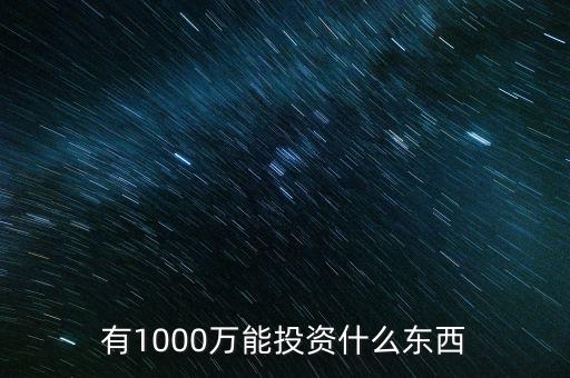 1000萬投資什么好，有1000萬能投資什么東西