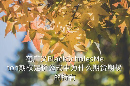 在廣義BlackScholesMeton期權(quán)定價(jià)公式中為什么期貨期權(quán)的持有