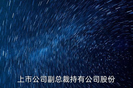 上市公司副總裁持有公司股份