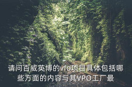 請(qǐng)問百威英博的vfo項(xiàng)目具體包括哪些方面的內(nèi)容與其VPO工廠最