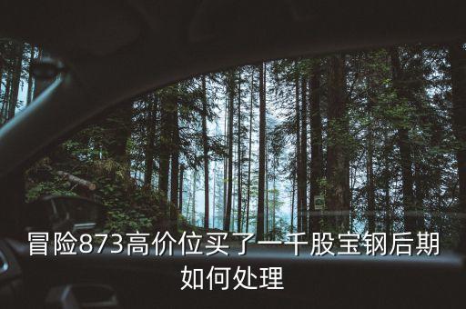 為什么大寧板塊房價瘋漲，8月11日房地產(chǎn)板塊漲幅領頭的原因