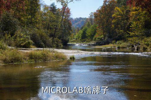 MICROLAB啥牌子