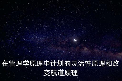 在管理學(xué)原理中計劃的靈活性原理和改變航道原理