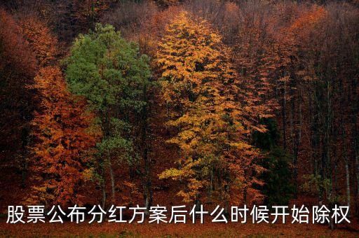 股票公布分紅方案后什么時候開始除權(quán)