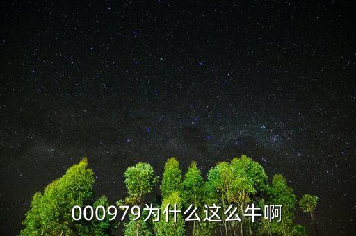 000979為什么這么牛啊