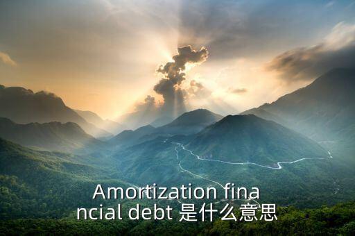 Amortization financial debt 是什么意思