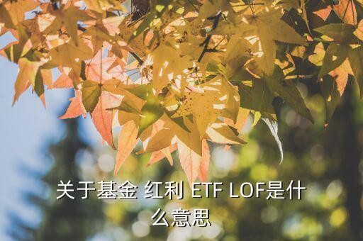 關(guān)于基金 紅利 ETF LOF是什么意思