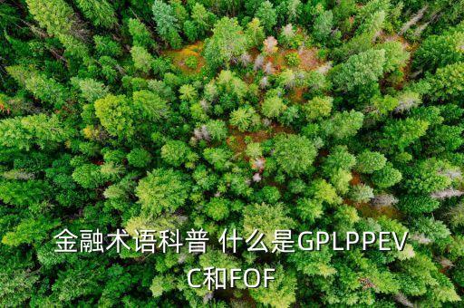 金融術(shù)語科普 什么是GPLPPEVC和FOF