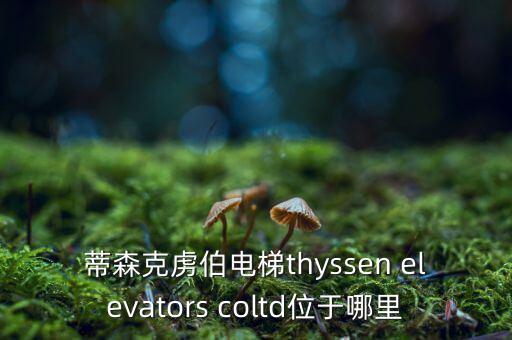 蒂森克虜伯電梯thyssen elevators coltd位于哪里