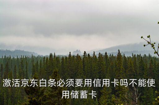 京東白條要什么銀行卡，京東打白條一定要信用卡嗎儲蓄卡不能用嗎