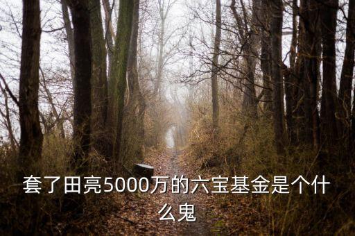 六寶并購基金投資什么項目，套了田亮5000萬的六寶基金是個什么鬼