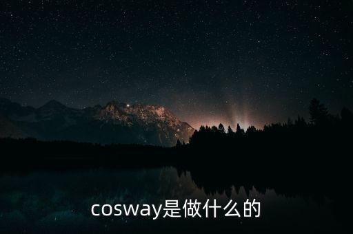 普路通是做什么的，cosway是做什么的