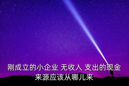 小企業(yè)主為什么沒現(xiàn)金，剛成立的小企業(yè) 無收入 支出的現(xiàn)金來源應(yīng)該從哪兒來