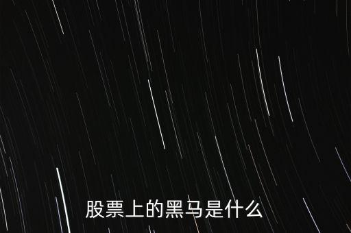 股票黑馬什么意思，股市上的黑馬是什么意思