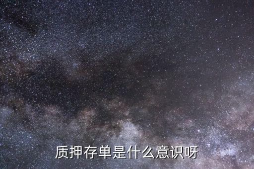 質押存單是什么意識呀