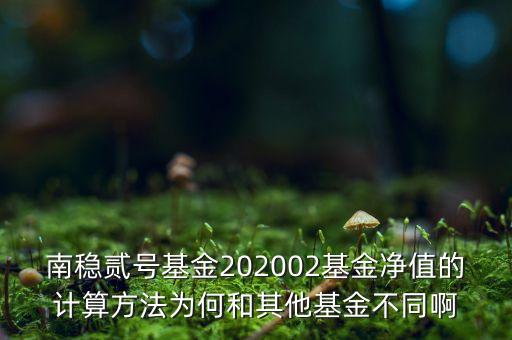 南穩(wěn)二號為什么要分紅，南穩(wěn)貳號基金202002基金凈值的計(jì)算方法為何和其他基金不同啊