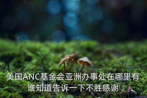 美國(guó)ANC基金會(huì)亞洲辦事處在哪里有誰(shuí)知道告訴一下不勝感謝