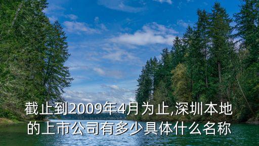 深圳市本魯克斯仿真控制有限公司