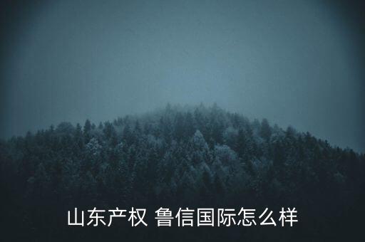 山東產(chǎn)權(quán) 魯信國際怎么樣