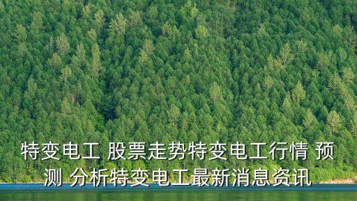 特變電工 股票走勢特變電工行情 預(yù)測 分析特變電工最新消息資訊