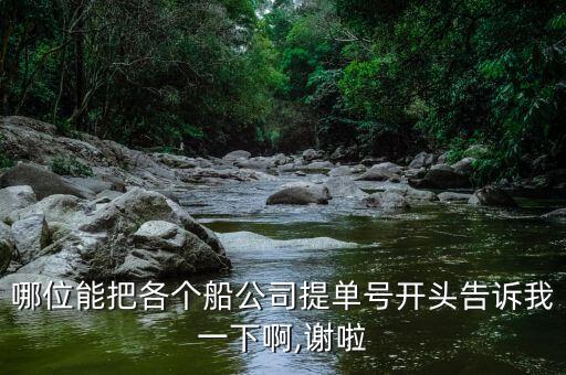 哪位能把各個(gè)船公司提單號(hào)開頭告訴我一下啊,謝啦