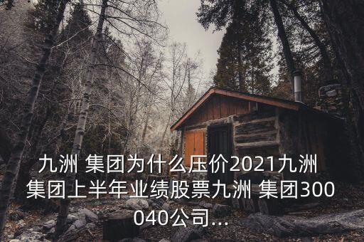 九洲 集團(tuán)為什么壓價2021九洲 集團(tuán)上半年業(yè)績股票九洲 集團(tuán)300040公司...