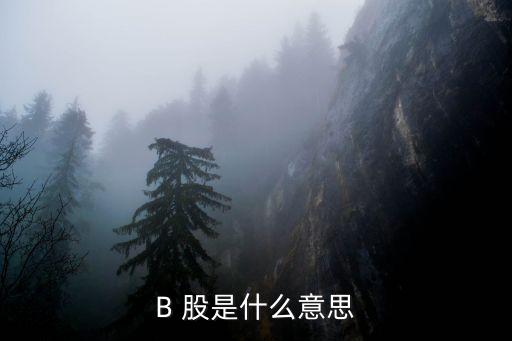 B 股是什么意思