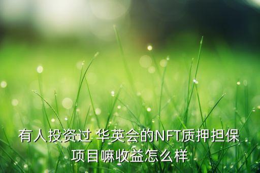 有人投資過(guò) 華英會(huì)的NFT質(zhì)押擔(dān)保項(xiàng)目嘛收益怎么樣