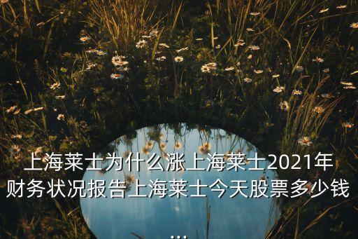 上海萊士為什么漲上海萊士2021年財務狀況報告上海萊士今天股票多少錢...