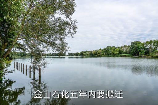 上?；瘜W(xué)工業(yè)區(qū)總體規(guī)劃,洪江市工業(yè)區(qū)總體規(guī)劃