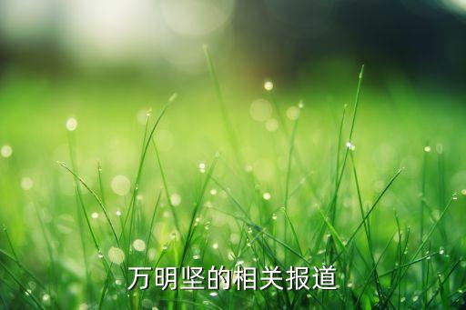 tcl集團管理層,TCL科技集團