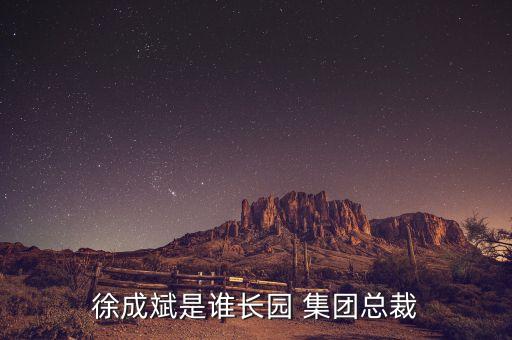 元博集團(tuán)董事長(zhǎng)是誰