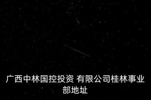 廣西中林國(guó)控投資 有限公司桂林事業(yè)部地址