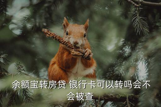  余額寶轉(zhuǎn)房貸 銀行卡可以轉(zhuǎn)嗎會(huì)不會(huì)被查