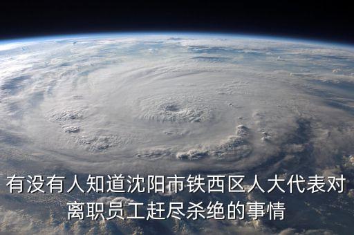 有沒有人知道沈陽市鐵西區(qū)人大代表對離職員工趕盡殺絕的事情