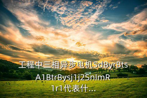 工程中三相異步電機(jī)SdByrBtsA1BtrBysj1j2SnImR1r1代表什...