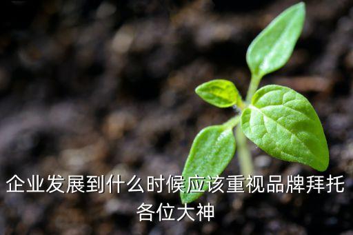 企業(yè)發(fā)展到什么時候應(yīng)該重視品牌拜托各位大神