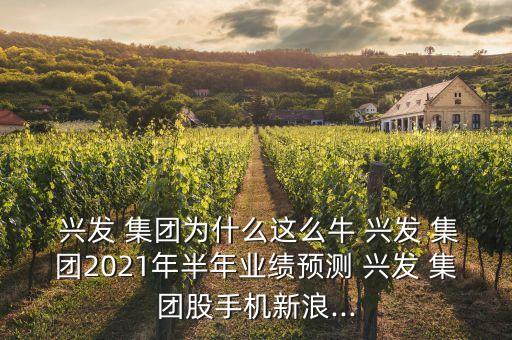  興發(fā) 集團為什么這么牛 興發(fā) 集團2021年半年業(yè)績預(yù)測 興發(fā) 集團股手機新浪...