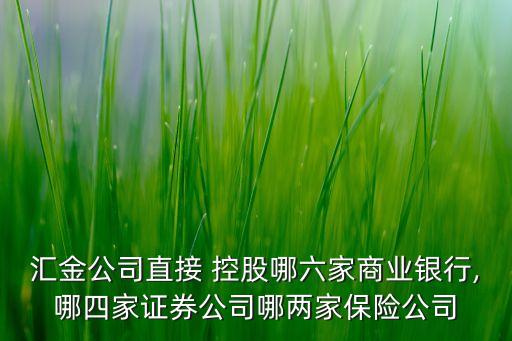 匯金公司直接 控股哪六家商業(yè)銀行,哪四家證券公司哪兩家保險(xiǎn)公司