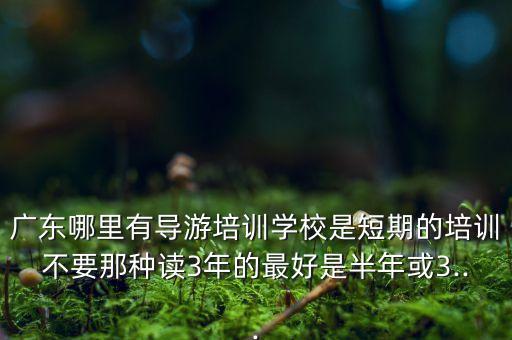 廣東哪里有導游培訓學校是短期的培訓不要那種讀3年的最好是半年或3...